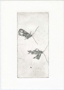 Ohne Titel, 2013, Strichätzung, 9,5 x 19,5 cm