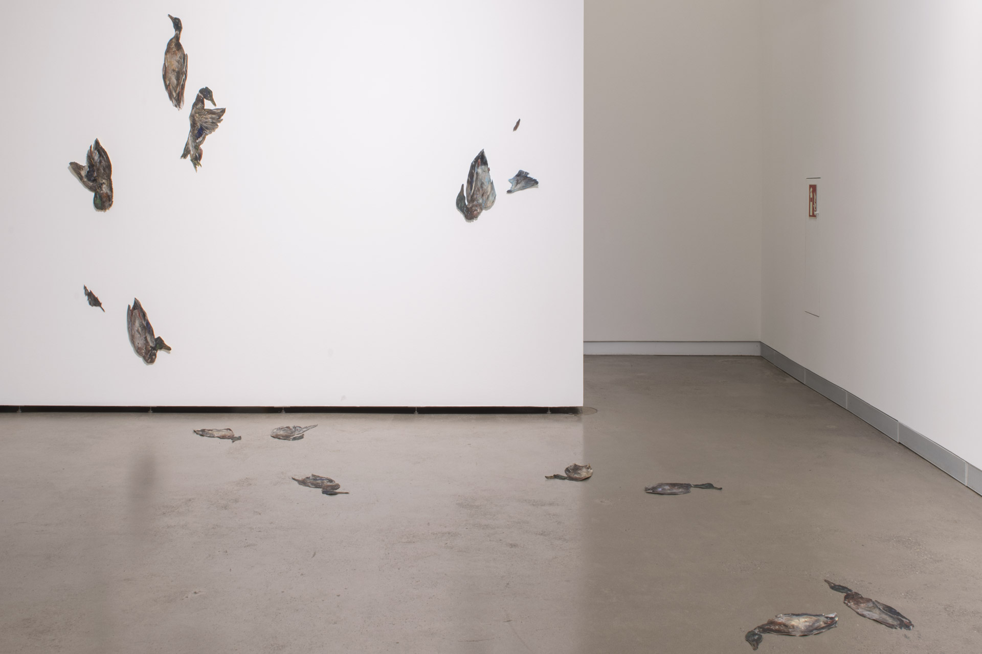 Vroni Schwegler, Installation, 2023, Ausstellung BILDER, 02.09. – 12.11.2023, Port25 – Raum für Gegenwartskunst, Mannheim